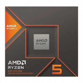 AMD Ryzen 5 8600G (4.3 GHz / 5.0 GHz)