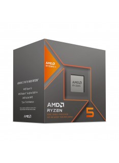 AMD Ryzen 5 8600G (4.3 GHz / 5.0 GHz)