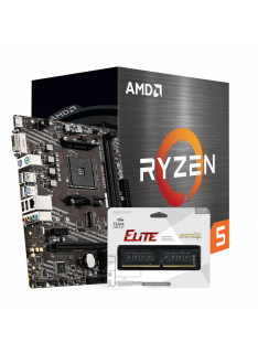 Level Up Ryzen 5 5500