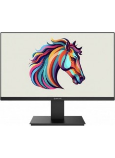 Tunisie Ecrans Pro REDRAGON THUGGA II 22" VA 100HZ