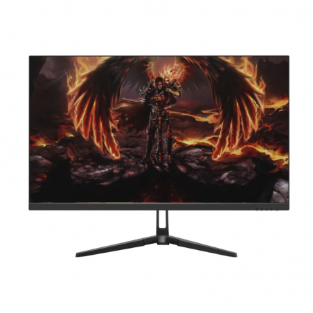 Tunisie Ecrans Gamer AERO 24.5" QG25DFA VA