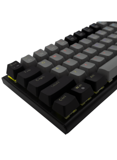 Tunisie Clavier Gamer WHITE SHARK WAKIZASHI GREY-BLACK - BLUE SWITCH - QWERTY
