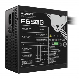 Gigabyte GP-P650G - 5