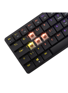 Tunisie Clavier Gamer WHITE SHARK NAGAMAKI BROWN SWITCH - BLACK / QWERTY