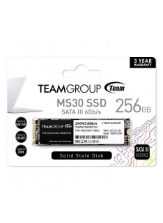 TEAM GROUP SSD MS30 M.2 256GB